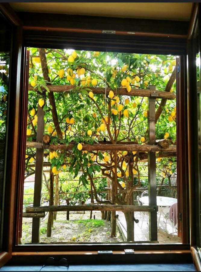 Апартаменты Il Limoneto Di Teresa Amalfi Coast Майори Экстерьер фото