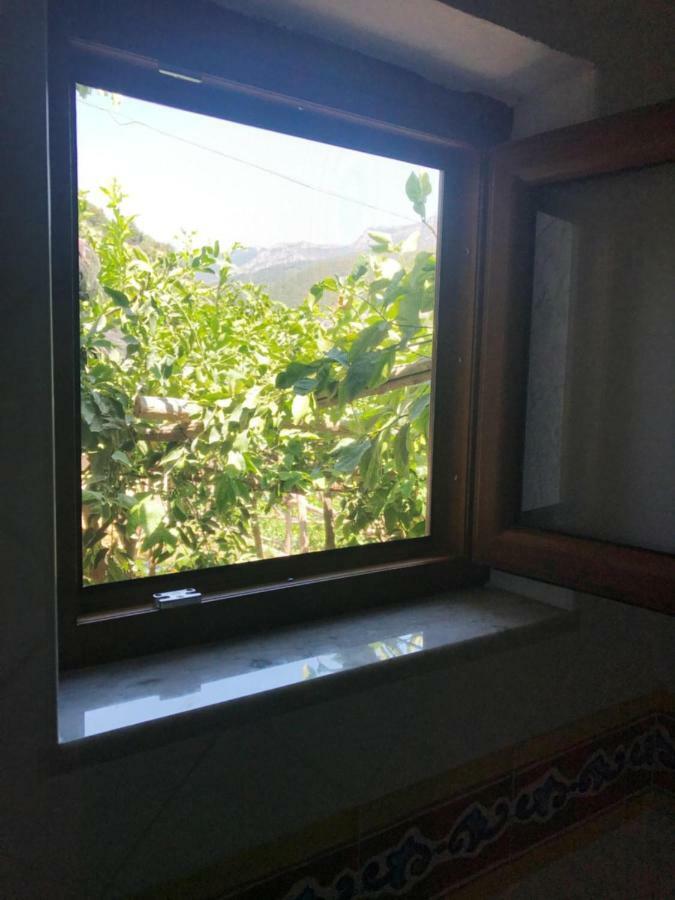 Апартаменты Il Limoneto Di Teresa Amalfi Coast Майори Экстерьер фото